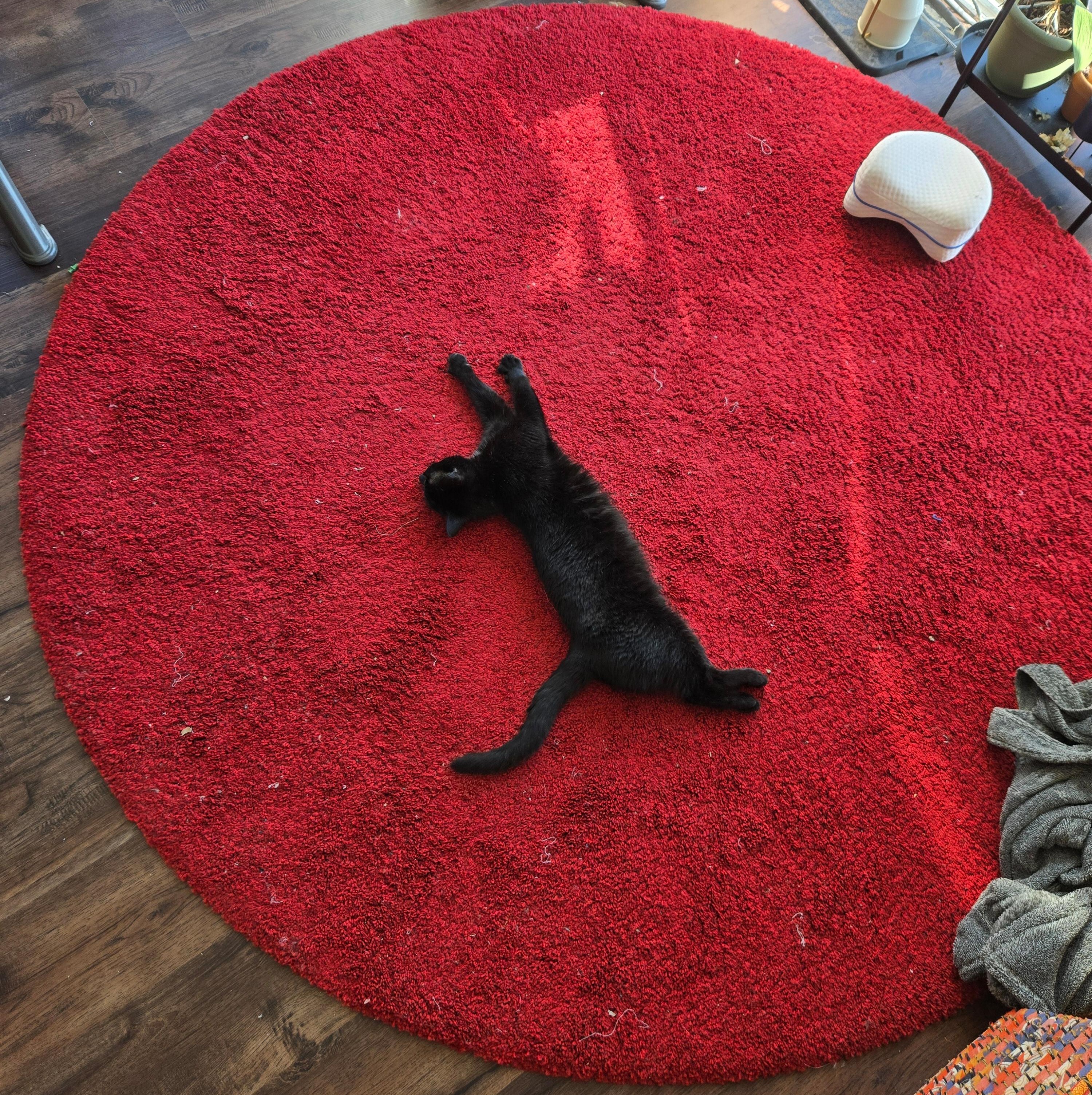 a black cat stretching on a red circular carpet