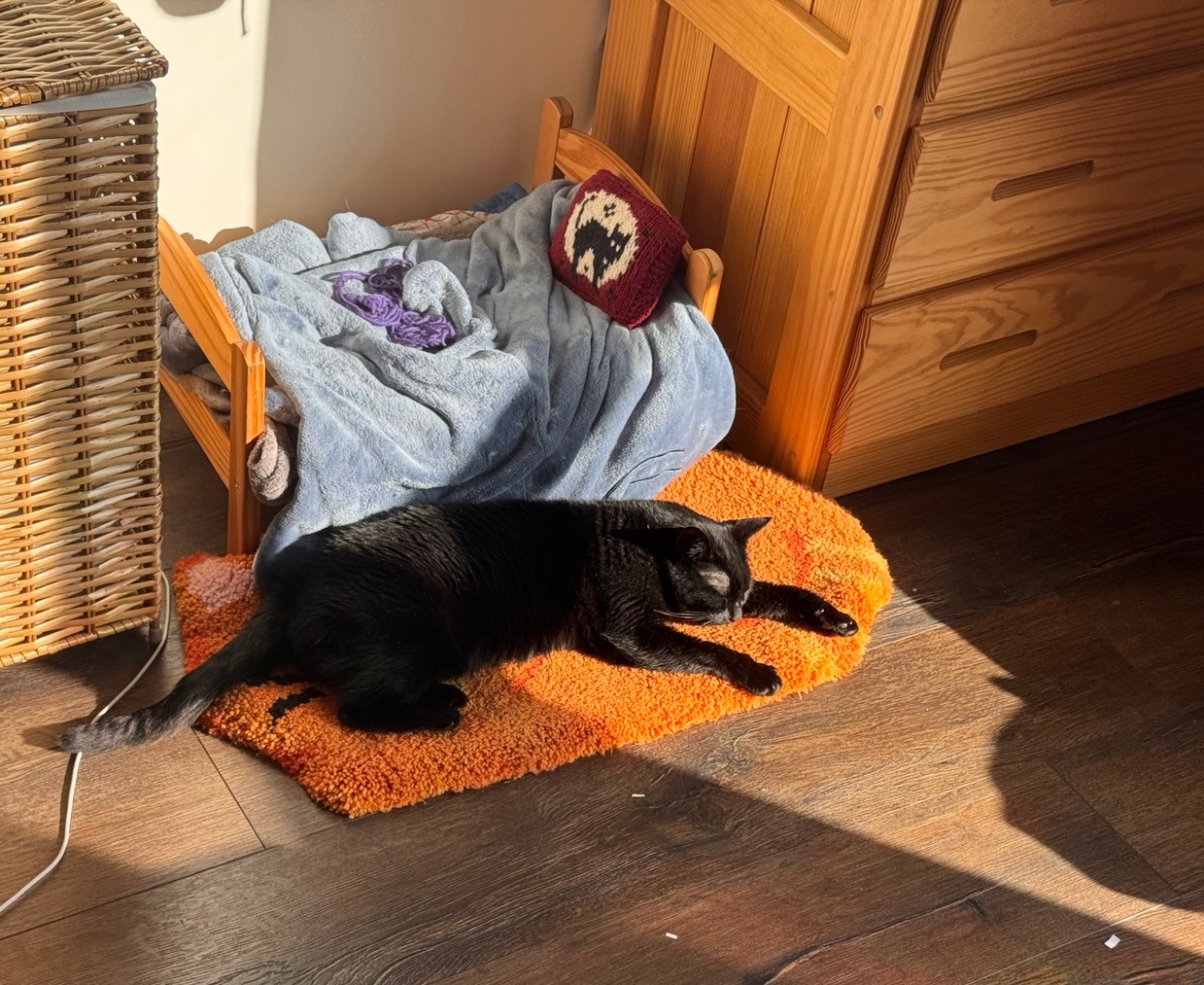 a black cat sitting under the cat bed from the previous picture (if only these were taken together)