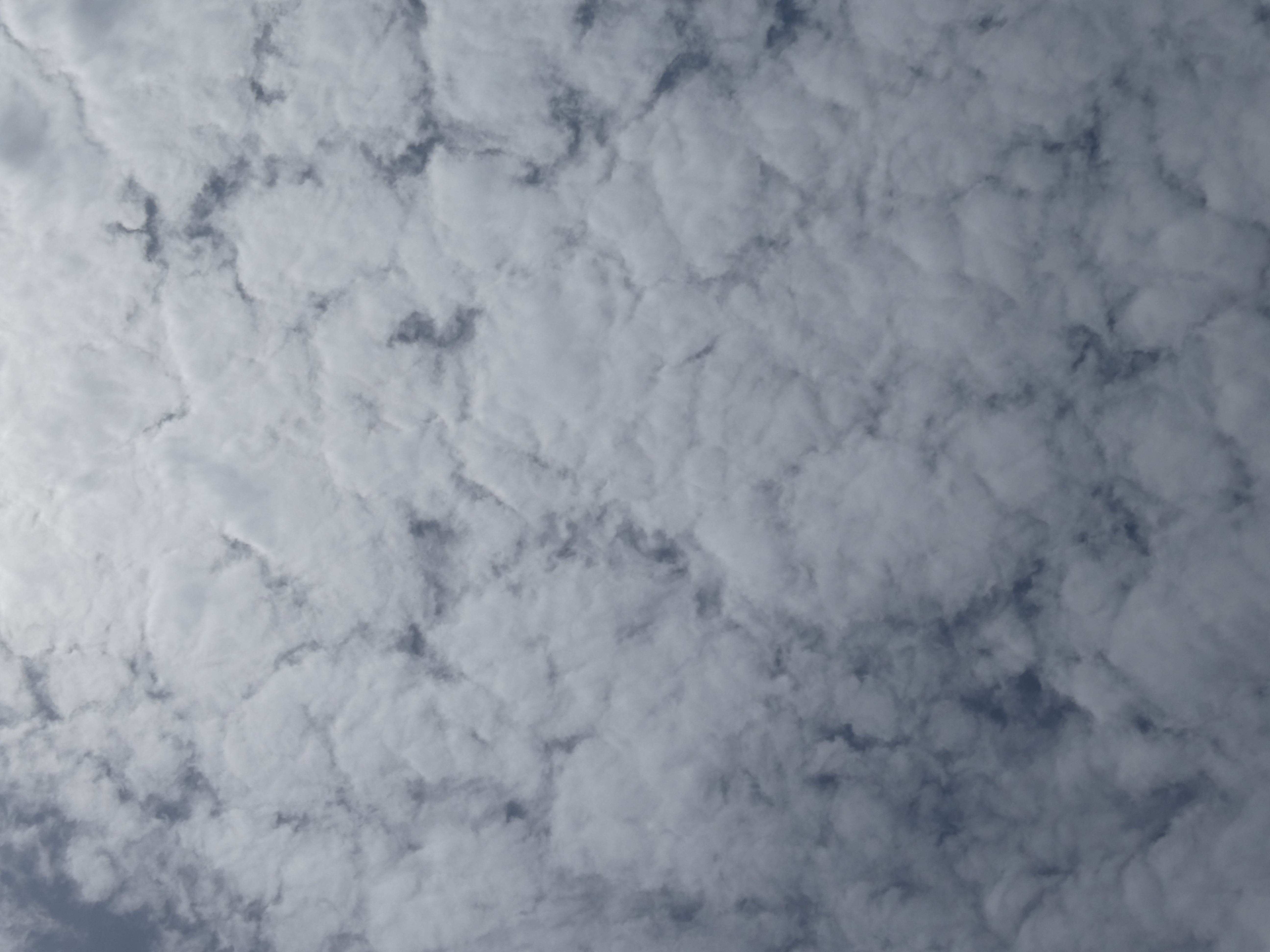 weird clouds in the sky